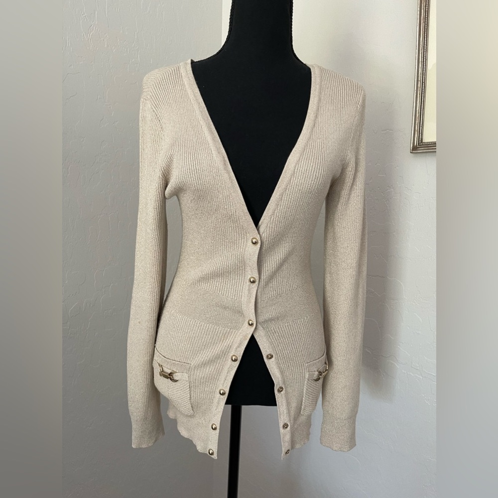 WHBM sparkly sweater